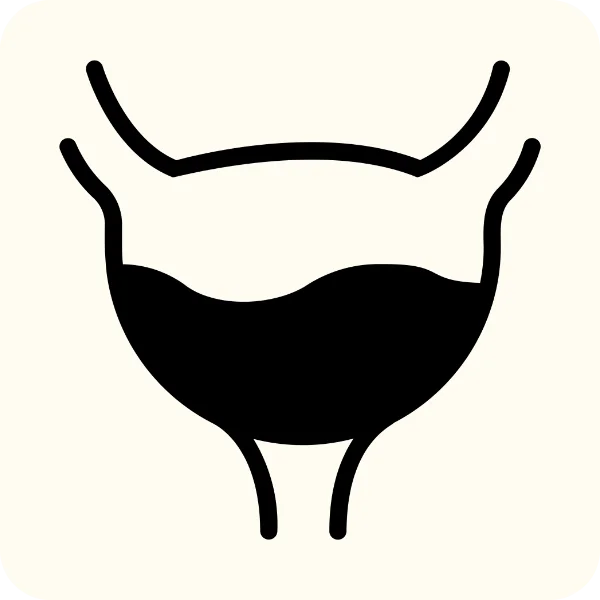 bladder icon