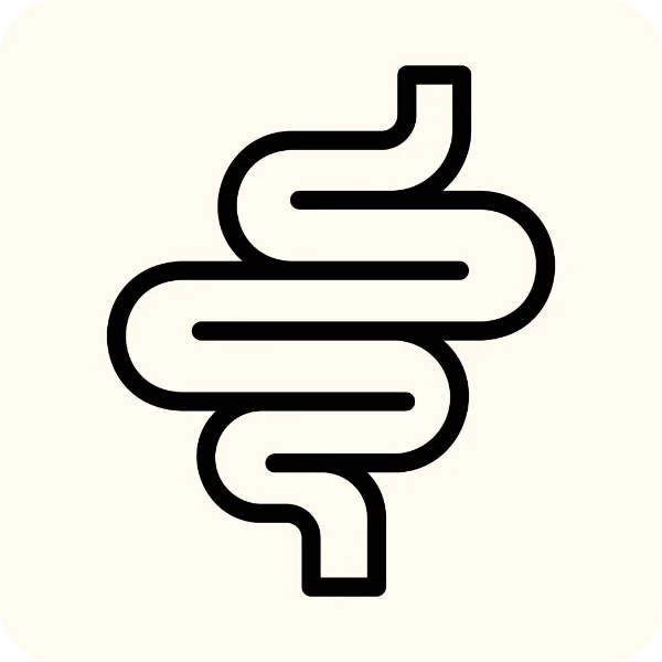 bowel intestines icon