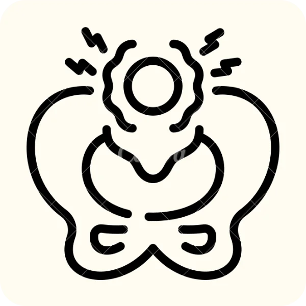 pelvic organ icon